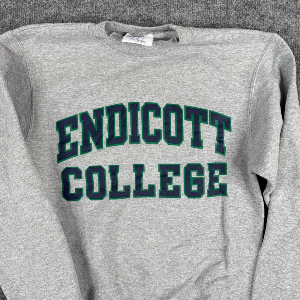 Champion Sweatshirt Mens Size S Gray Endicott College Crewneck Athletic Pullover